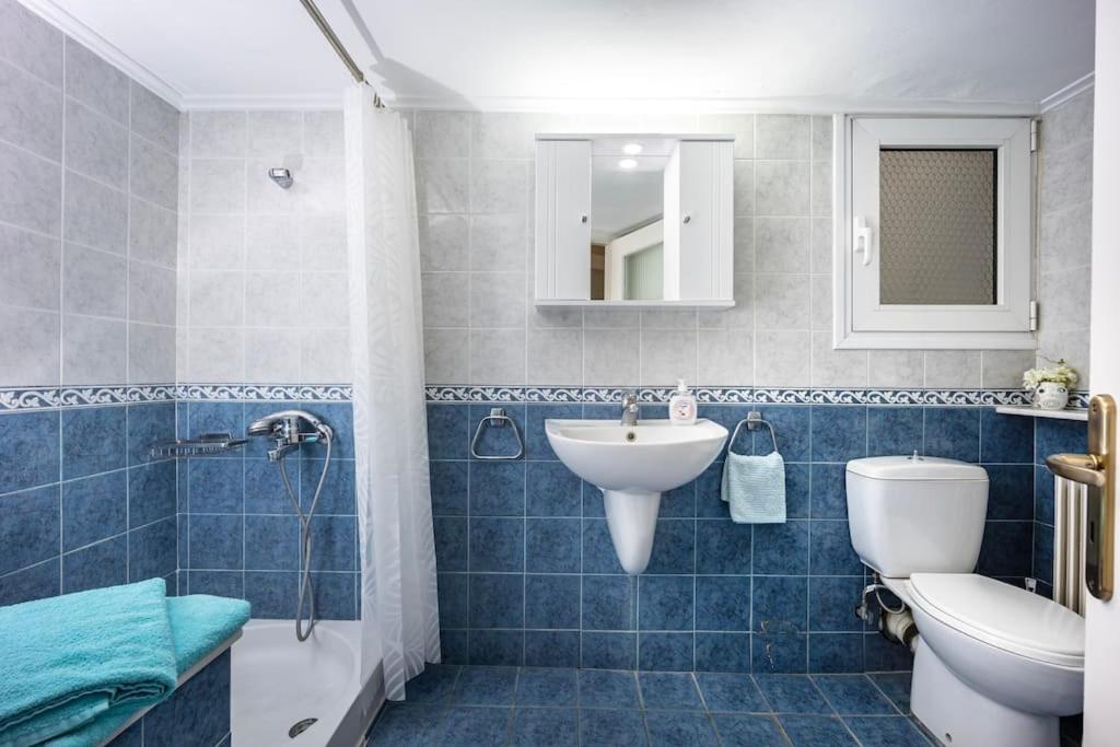Bright Central Apartment With Splendid Sea View! Chalkís Zewnętrze zdjęcie