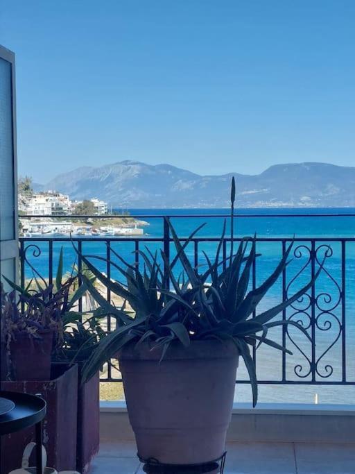 Bright Central Apartment With Splendid Sea View! Chalkís Zewnętrze zdjęcie